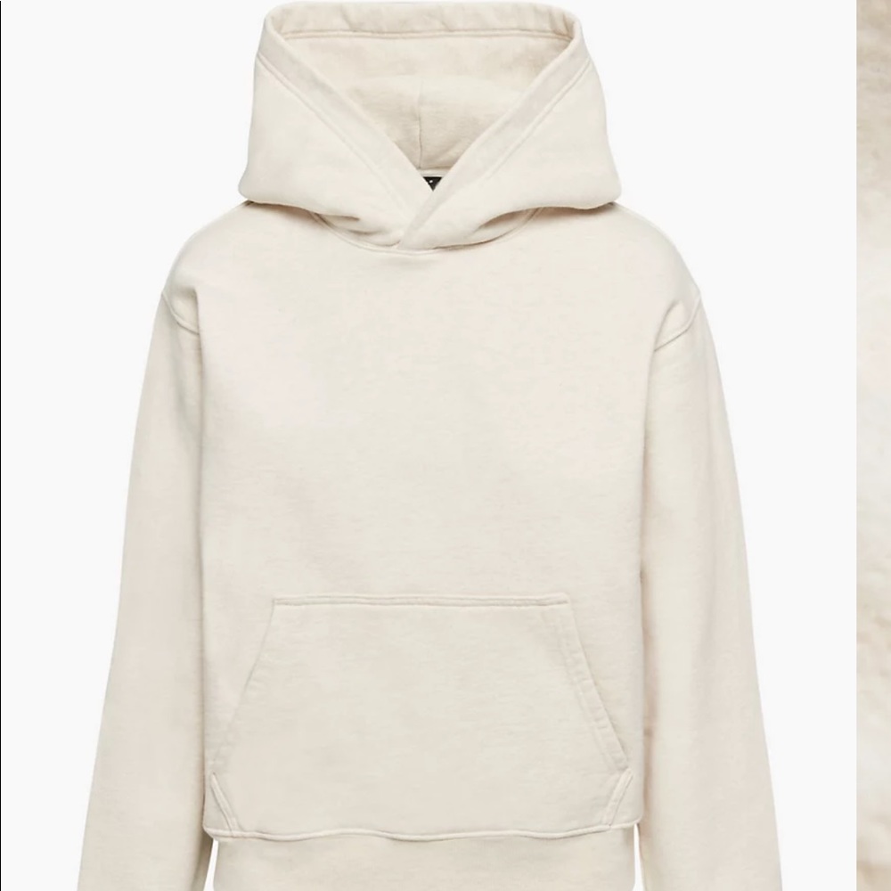 Aritzia Perfect hoodie